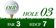 HOLE03 PAR3 HDCP7