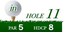 HOLE11 PAR5 HDCP8