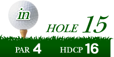 HOLE15 PAR4 HDCP16