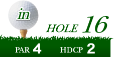 HOLE16 PAR4 HDCP2