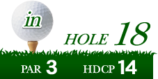 HOLE18 PAR3 HDCP14