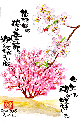 ２１桜.png